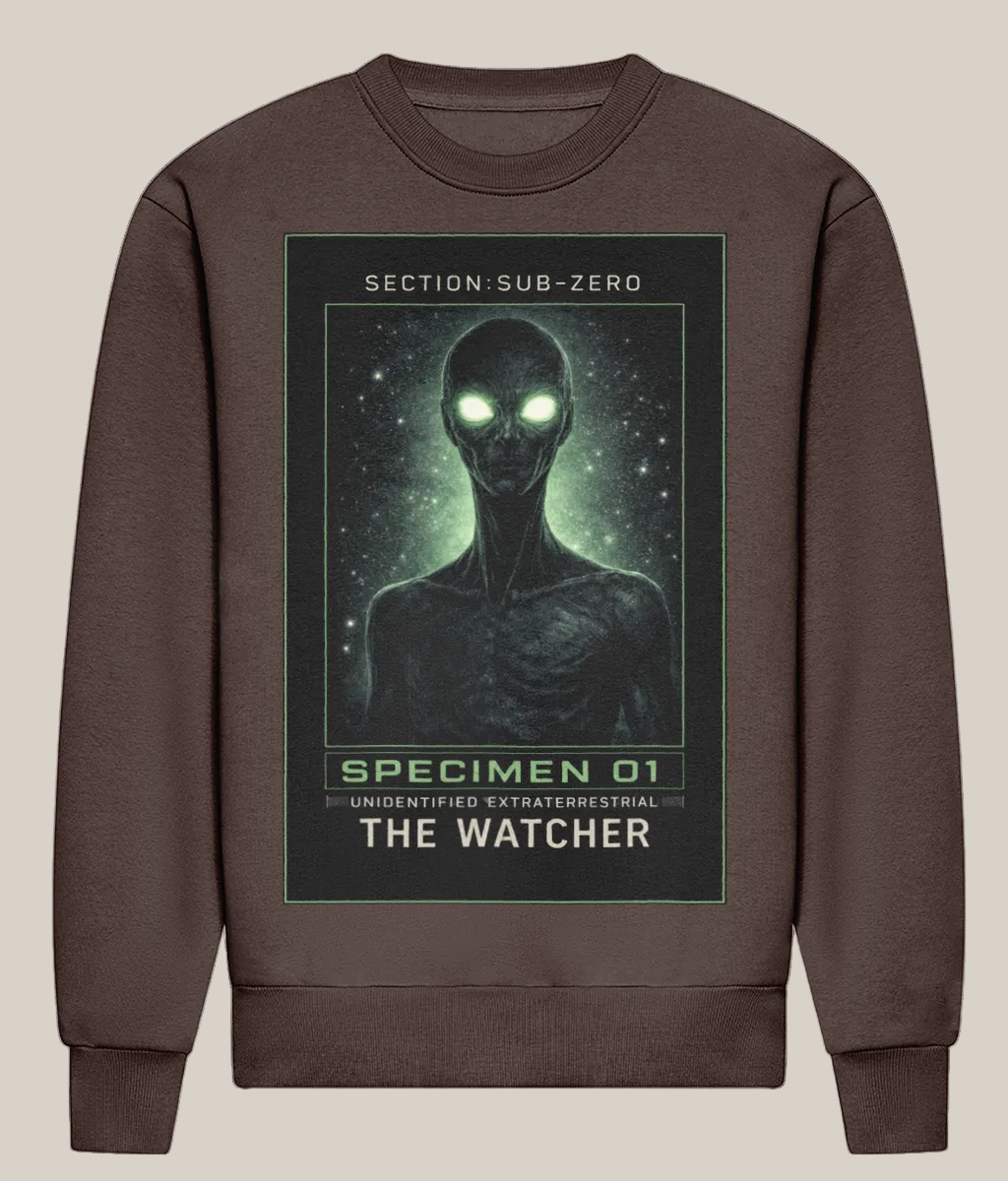Brown sweatshirt with alien graphic and text on a white background